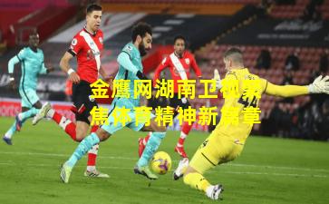 金鹰网湖南卫视聚焦体育精神新篇章